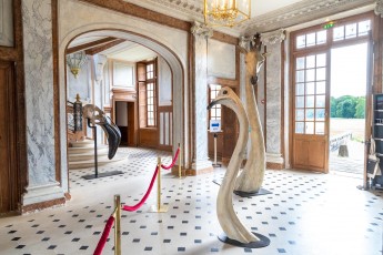 "Anomal" exposition de Quentin Garel au domaine de Chamarande (91) du 25 janvier au 29 mars 2020. Prolongations jusqu'au 14 juin 2020.