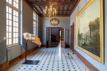 "Anomal" exposition de Quentin Garel au domaine de Chamarande (91) du 25 janvier au 29 mars 2020. Prolongations jusqu'au 14 juin 2020.