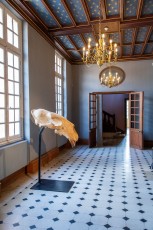 "Anomal" exposition de Quentin Garel au domaine de Chamarande (91) du 25 janvier au 29 mars 2020. Prolongations jusqu'au 14 juin 2020.