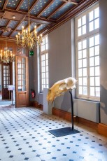 "Anomal" exposition de Quentin Garel au domaine de Chamarande (91) du 25 janvier au 29 mars 2020. Prolongations jusqu'au 14 juin 2020.