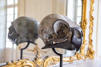 "Anomal" exposition de Quentin Garel au domaine de Chamarande (91) du 25 janvier au 29 mars 2020. Prolongations jusqu'au 14 juin 2020.