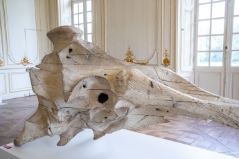 "Anomal" exposition de Quentin Garel au domaine de Chamarande (91) du 25 janvier au 29 mars 2020. Prolongations jusqu'au 14 juin 2020.