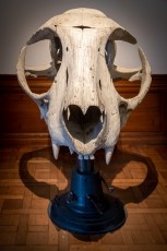 "Anomal" exposition de Quentin Garel au domaine de Chamarande (91) du 25 janvier au 29 mars 2020. Prolongations jusqu'au 14 juin 2020.