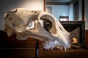 "Anomal" exposition de Quentin Garel au domaine de Chamarande (91) du 25 janvier au 29 mars 2020. Prolongations jusqu'au 14 juin 2020.