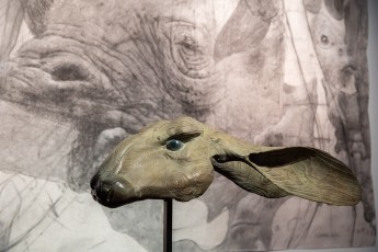 "Anomal" exposition de Quentin Garel au domaine de Chamarande (91) du 25 janvier au 29 mars 2020. Prolongations jusqu'au 14 juin 2020.