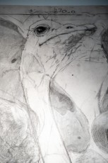 "Anomal" exposition de Quentin Garel au domaine de Chamarande (91) du 25 janvier au 29 mars 2020. Prolongations jusqu'au 14 juin 2020.