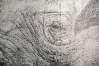 "Anomal" exposition de Quentin Garel au domaine de Chamarande (91) du 25 janvier au 29 mars 2020. Prolongations jusqu'au 14 juin 2020.