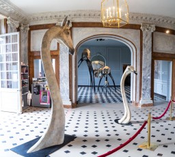 "Anomal" exposition de Quentin Garel au domaine de Chamarande (91) du 25 janvier au 29 mars 2020. Prolongations jusqu'au 14 juin 2020.