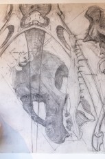 "Anomal" exposition de Quentin Garel au domaine de Chamarande (91) du 25 janvier au 29 mars 2020. Prolongations jusqu'au 14 juin 2020.