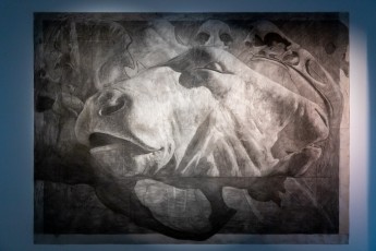 "Anomal" exposition de Quentin Garel au domaine de Chamarande (91) du 25 janvier au 29 mars 2020. Prolongations jusqu'au 14 juin 2020.