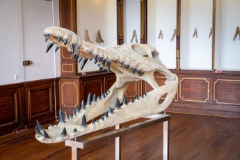 "Anomal" exposition de Quentin Garel au domaine de Chamarande (91) du 25 janvier au 29 mars 2020. Prolongations jusqu'au 14 juin 2020.