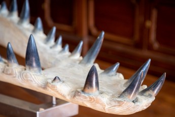 "Anomal" exposition de Quentin Garel au domaine de Chamarande (91) du 25 janvier au 29 mars 2020. Prolongations jusqu'au 14 juin 2020.