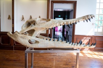 "Anomal" exposition de Quentin Garel au domaine de Chamarande (91) du 25 janvier au 29 mars 2020. Prolongations jusqu'au 14 juin 2020.