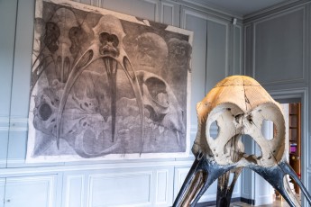 "Anomal" exposition de Quentin Garel au domaine de Chamarande (91) du 25 janvier au 29 mars 2020. Prolongations jusqu'au 14 juin 2020.