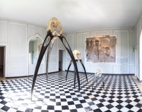 "Anomal" exposition de Quentin Garel au domaine de Chamarande (91) du 25 janvier au 29 mars 2020. Prolongations jusqu'au 14 juin 2020.