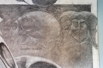 "Anomal" exposition de Quentin Garel au domaine de Chamarande (91) du 25 janvier au 29 mars 2020. Prolongations jusqu'au 14 juin 2020.