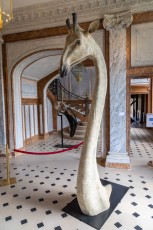 "Anomal" exposition de Quentin Garel au domaine de Chamarande (91) du 25 janvier au 29 mars 2020. Prolongations jusqu'au 14 juin 2020.