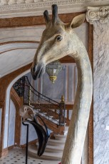 "Anomal" exposition de Quentin Garel au domaine de Chamarande (91) du 25 janvier au 29 mars 2020. Prolongations jusqu'au 14 juin 2020.