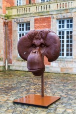 "Anomal" exposition de Quentin Garel au domaine de Chamarande (91) du 25 janvier au 29 mars 2020. Prolongations jusqu'au 14 juin 2020.