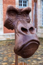 "Anomal" exposition de Quentin Garel au domaine de Chamarande (91) du 25 janvier au 29 mars 2020. Prolongations jusqu'au 14 juin 2020.