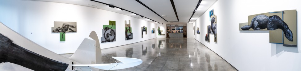 "Histoire naturelle" exposition de ROA à la galerie Itinerrance à partir du 12 décembre 2020.