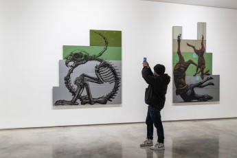 "Histoire naturelle" exposition de ROA à la galerie Itinerrance à partir du 12 décembre 2020. Vernissage - Samedi 12 décembre 2020
