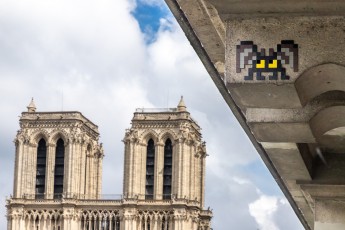 PA-1466 - Bat of Notre Dame - Quartier de la Sorbonne 05è