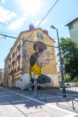 Seth - Avenue Aristide Briant - Fontaine - Street Art Fest Grenoble - Juillet 2019