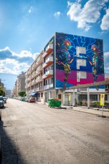 Deih - Rue des Champs Elysées - Grenoble - Street Art Fest Grenoble - Juin 2023