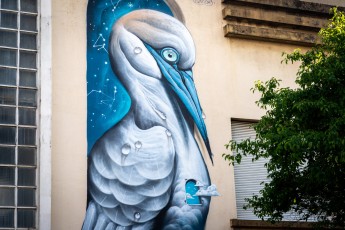 Veks Van Hillk - Rue de Stalingrad - Grenoble - Street Art Fest Grenoble - Juin 2023