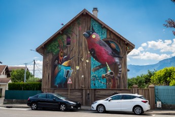 Dulk & Mantra - Rue Jean-Jacques Rousseau - Saint-Martin-d'Hères - Street Art Fest Grenoble - Juillet 2019