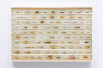 "Triple Trouble" exposition de Invader, Shepard Fairey et Damien Hirst à la Newport Street Gallery du 10 octobre 2025 au 29 mars 2026