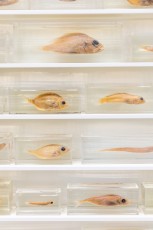 "Triple Trouble" exposition de Invader, Shepard Fairey et Damien Hirst à la Newport Street Gallery du 10 octobre 2025 au 29 mars 2026