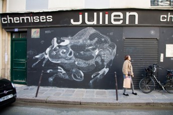 Philippe Baudelocque - Rue du Pont aux Choux 03è - Octobre 2010