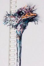 Bonom - Autruche rue de Crussol 11è - Mars 2009