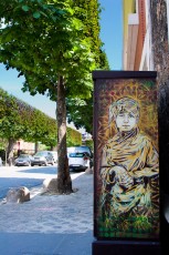 C215 - Avenue Jean Jaurès - Vitry-sur-Seine - Juin 2009