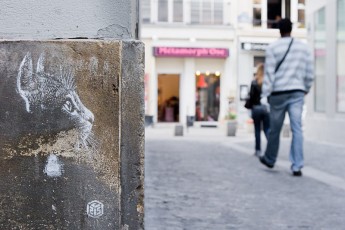 C215 - Chat - Rue de Venise 04è - Septembre 2008