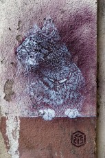 C215 - Rue de Belleville 19è - Novembre 2008