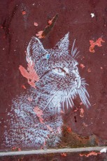 C215 - Rue de Belleville 20èEn balade en vélo avec Manon, pour en arriver là il a fallu suer à grosses gouttes en montant Ménilmontant avec Manon sur son siège à l'arrière. Elle avait l'air d'apprécier les chats de C215, il a même fallu qu'elle les embrasse. - Décembre 2008