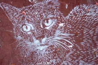 C215 - Rue de Belleville 20èEn balade en vélo avec Manon, pour en arriver là il a fallu suer à grosses gouttes en montant Ménilmontant avec Manon sur son siège à l'arrière. Elle avait l'air d'apprécier les chats de C215, il a même fallu qu'elle les embrasse. - Décembre 2008