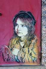 C215 - Vitry - Avenue Guy Moquet - Novembre 2009