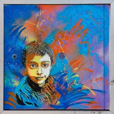 C215 - Vitry - Avenue Guy Moquet - Mars 2010