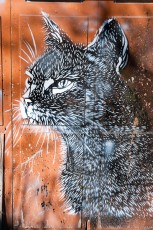 C215 - Vitry - Avenue Jean Jaurès - Mars 2010