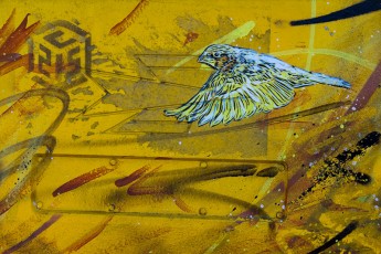 C215 - Vitry - Avenue Jean Jaurès - Mai 2010