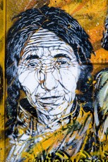 C215 - Vitry - Avenue Paul Vaillant-Couturier - Avril 2010