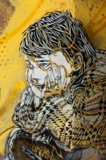 C215 - Vitry - Bassin scolaire Joliot Curie - Juillet 2010