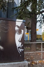 C215 - Vitry - Rue de Choisy - Novembre 2009