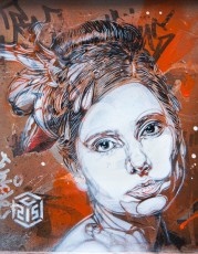 C215 - Rue Amelot 11è - Mars 2011