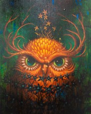 Jeff Soto - Exposition "Les enfants terribles" - Le Plateau - Lyon - Novembre 2011