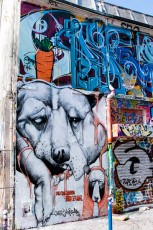 Rue Dénoyez 20è - Gorellaume - Avril 2010